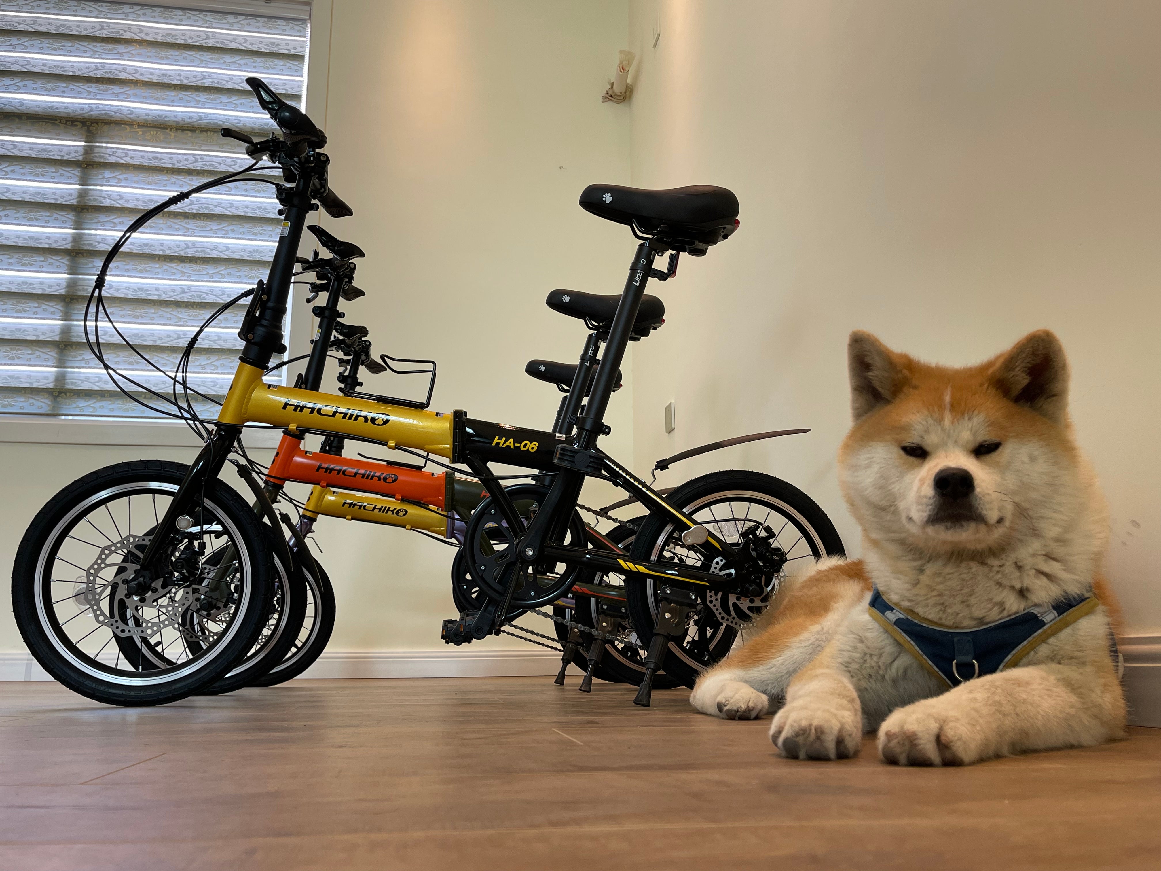 🔥Hachiko HA-06: 16 Inch Foldable Bicycle | Japan Brand | 2025 New Launch🔥