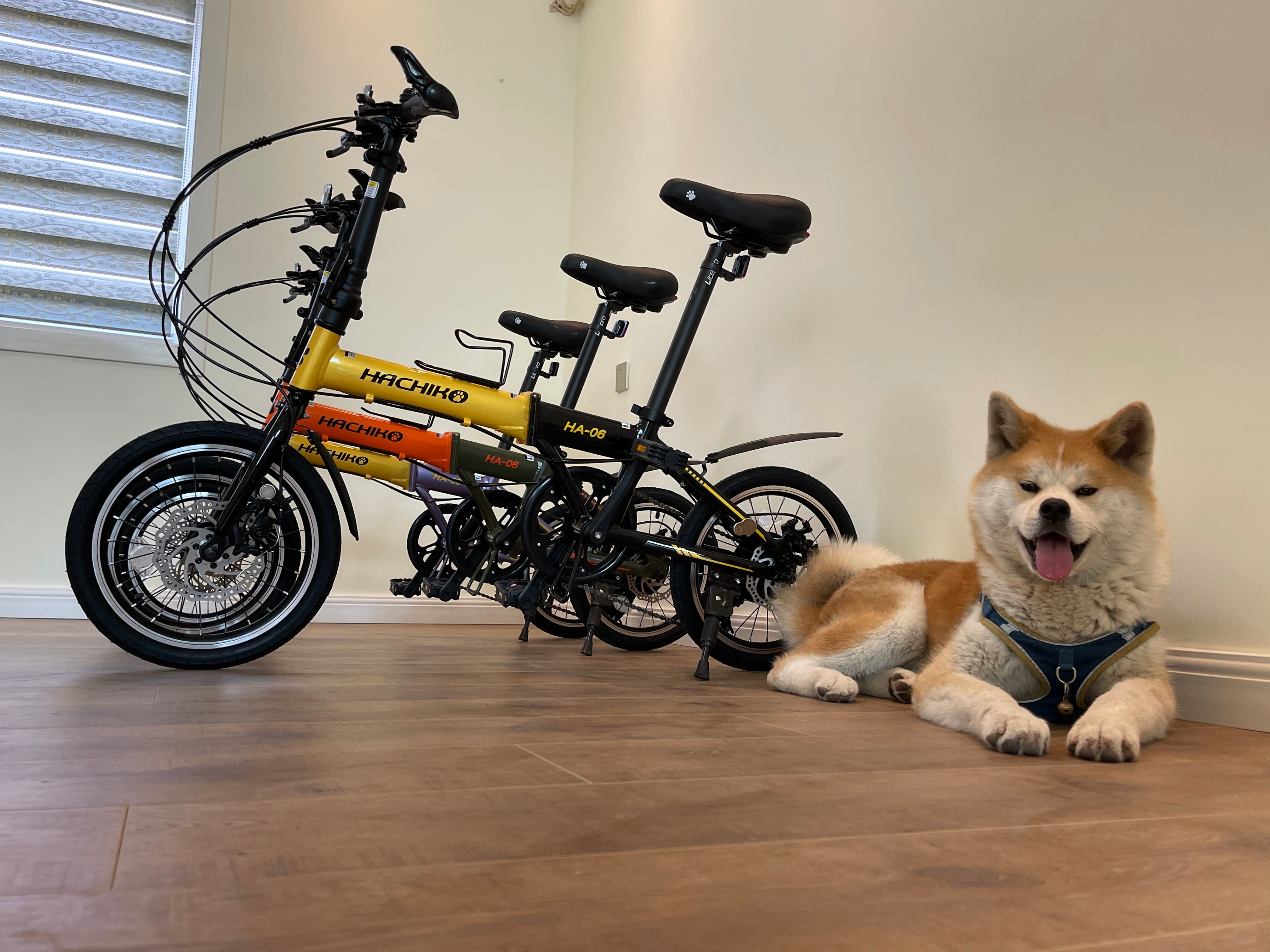 🔥Hachiko HA-06: 16 Inch Foldable Bicycle | Japan Brand | 2025 New Launch🔥