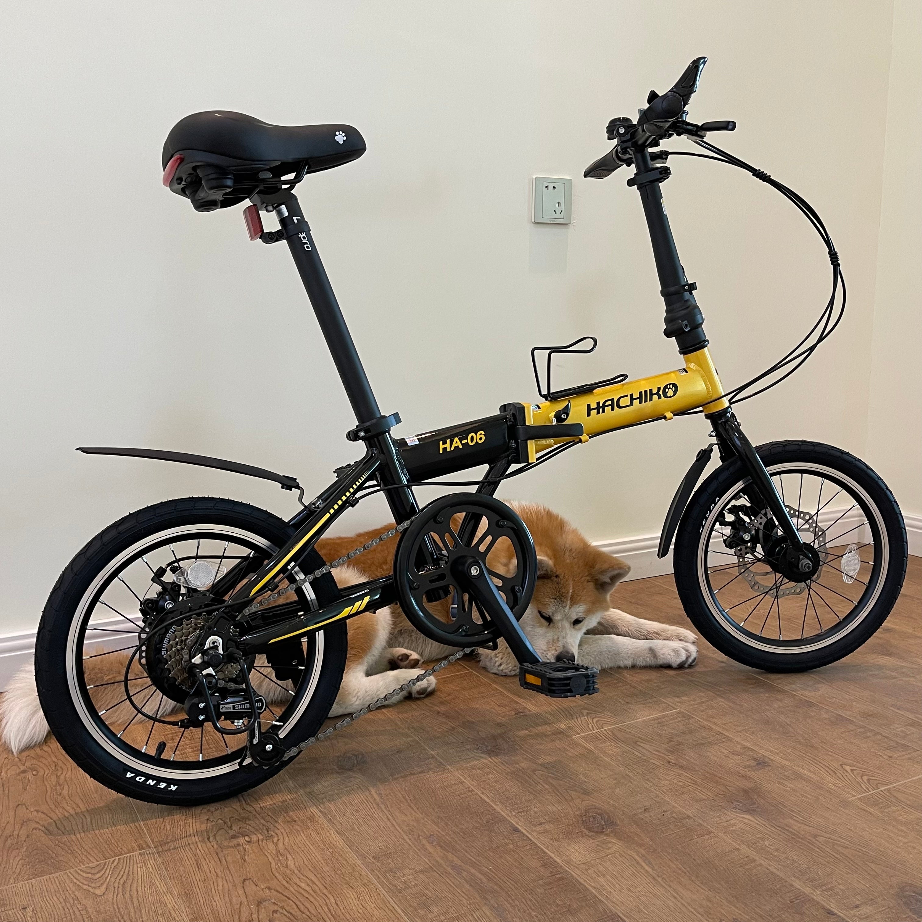 🔥Hachiko HA-06: 16 Inch Foldable Bicycle | Japan Brand | 2025 New Launch🔥