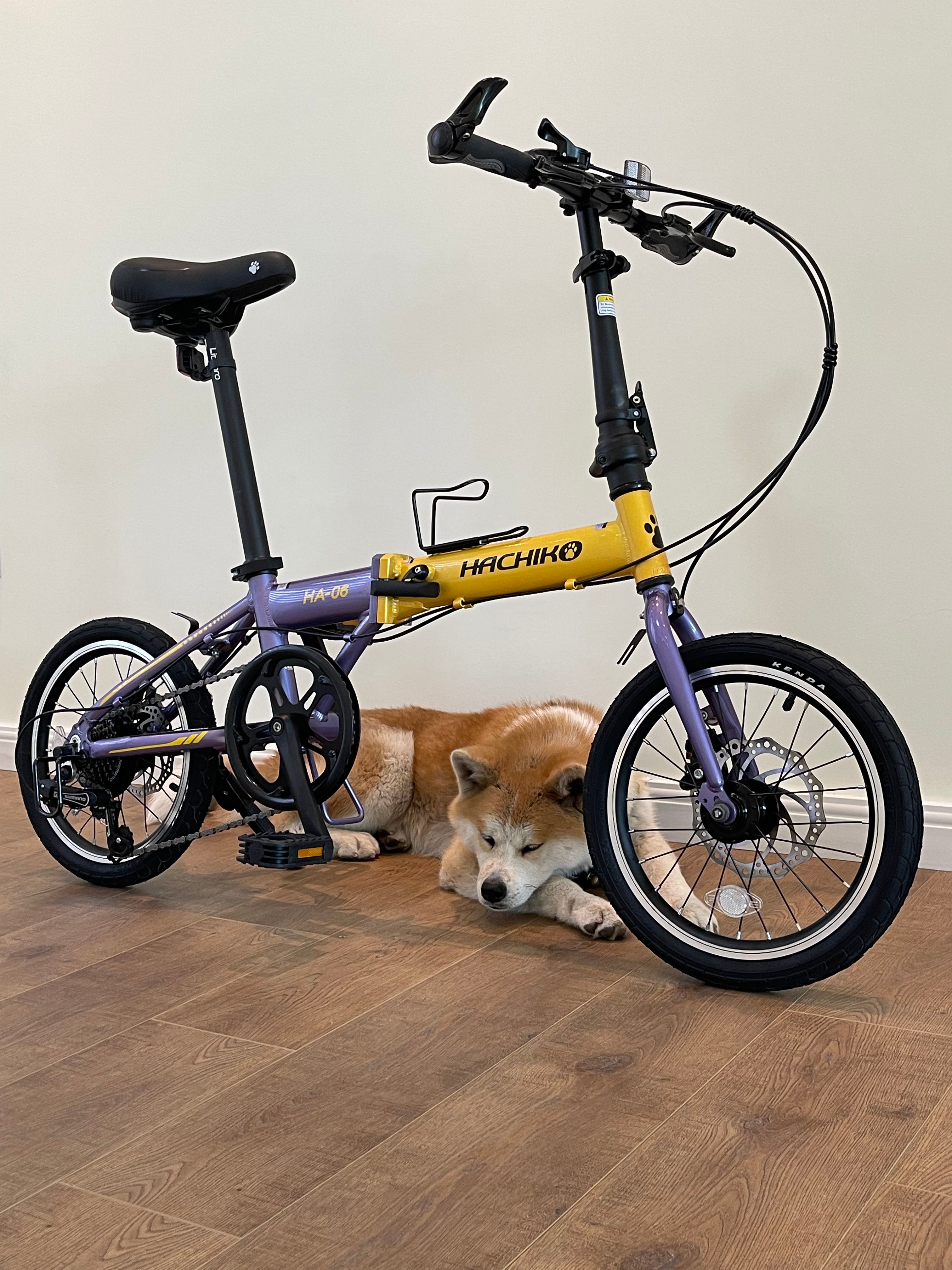 🔥Hachiko HA-06: 16 Inch Foldable Bicycle | Japan Brand | 2025 New Launch🔥