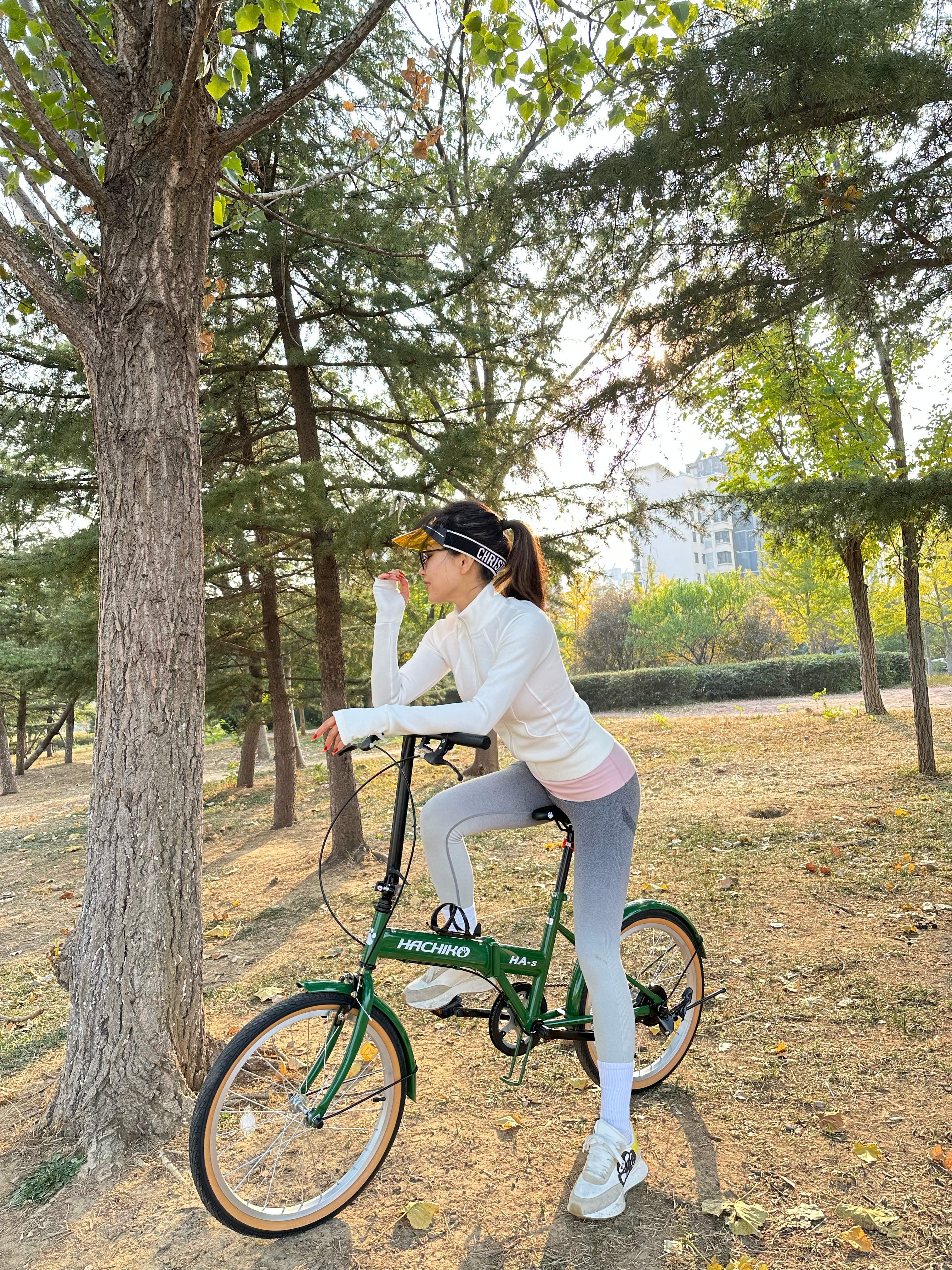 š„Hachiko HA-S Single Speed Steel Frame | (20 Inch) 406mm Wheel | Japan Brand | Official Singapore Distributorš„