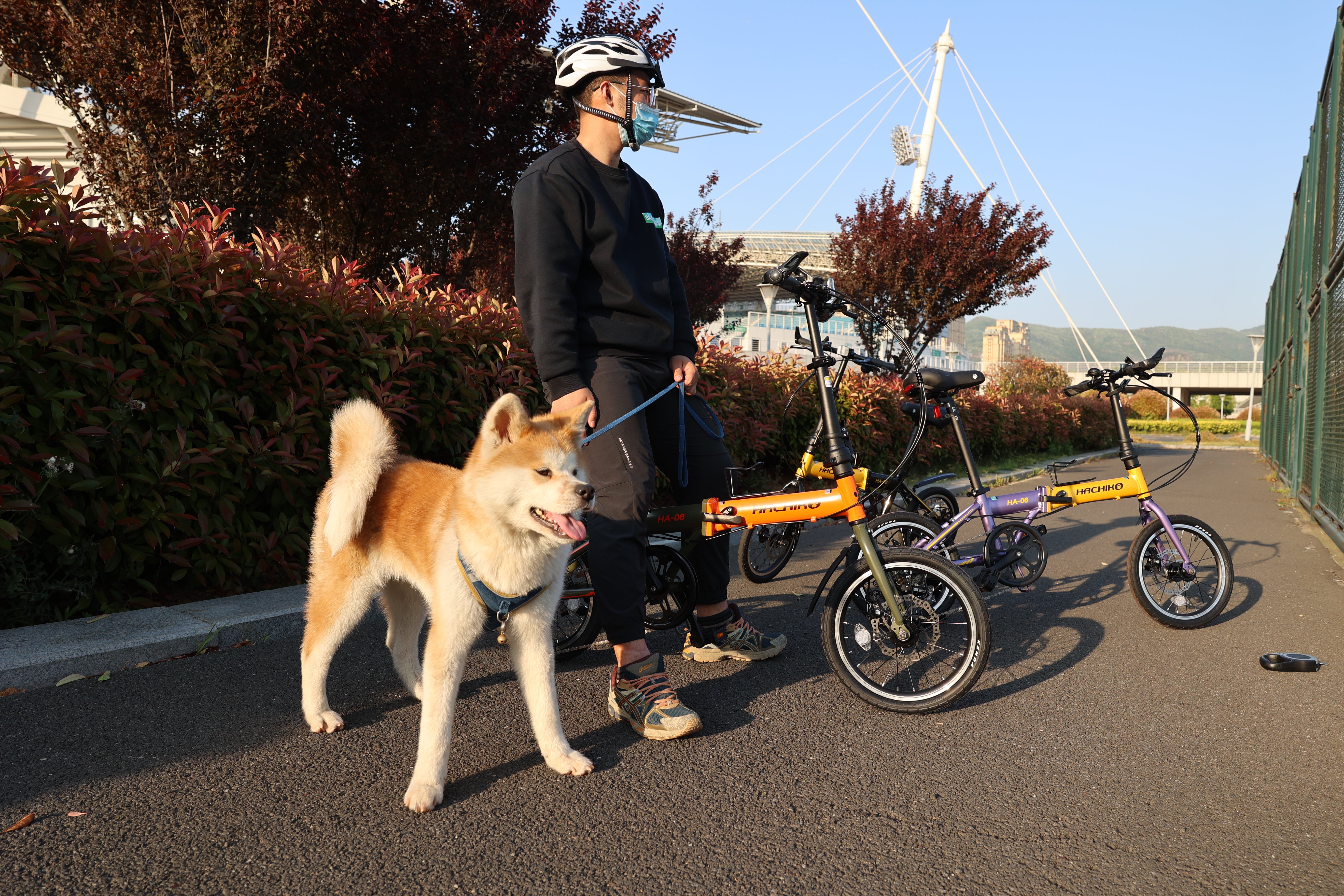 🔥Hachiko HA-06: 16 Inch Foldable Bicycle | Japan Brand | 2025 New Launch🔥
