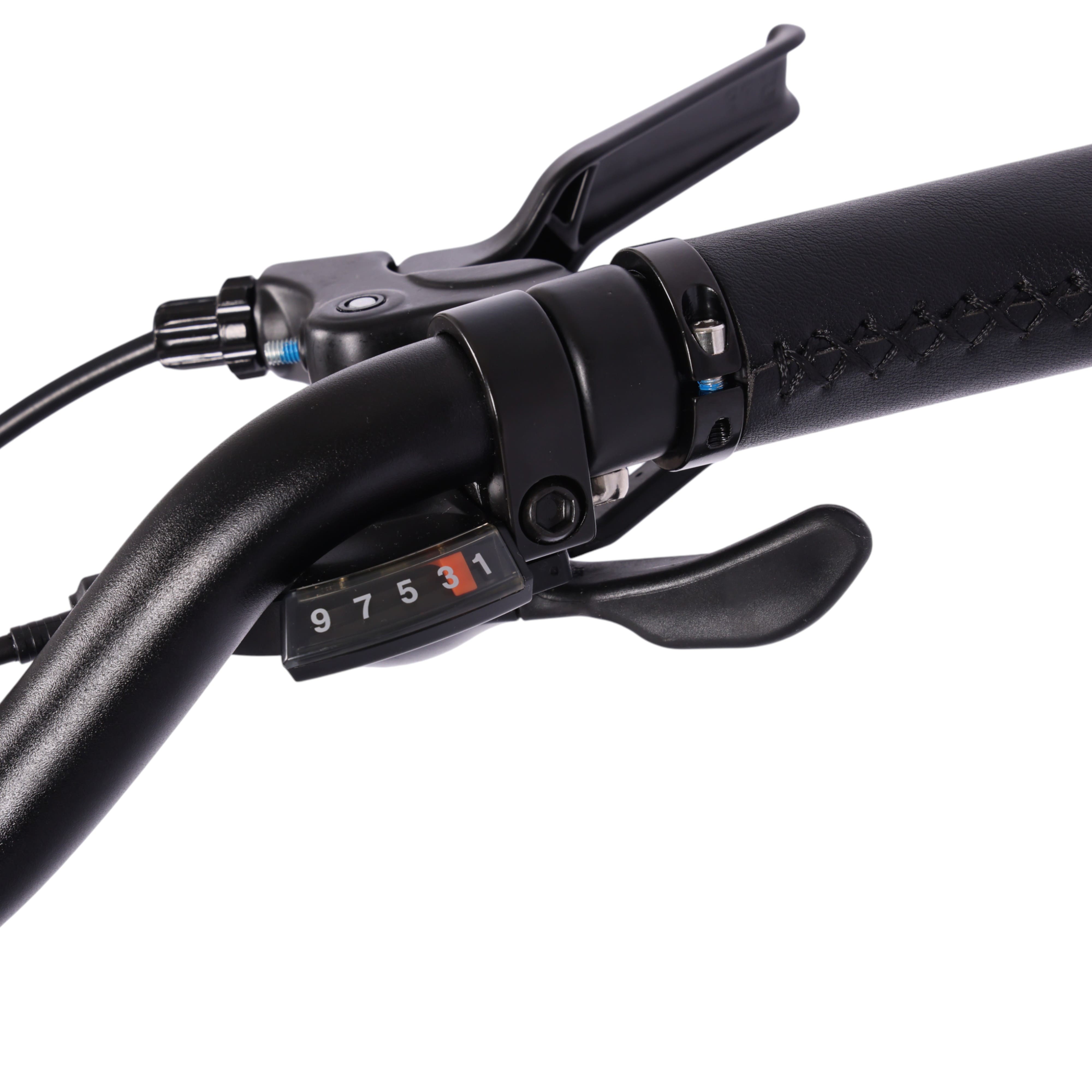 🔥Hachiko T9 Chromoly Steel Trifold Bicycle | 16